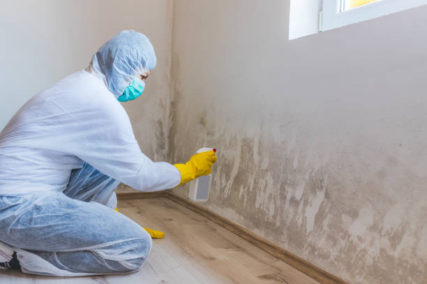 Black mold inspection in McAlisterville