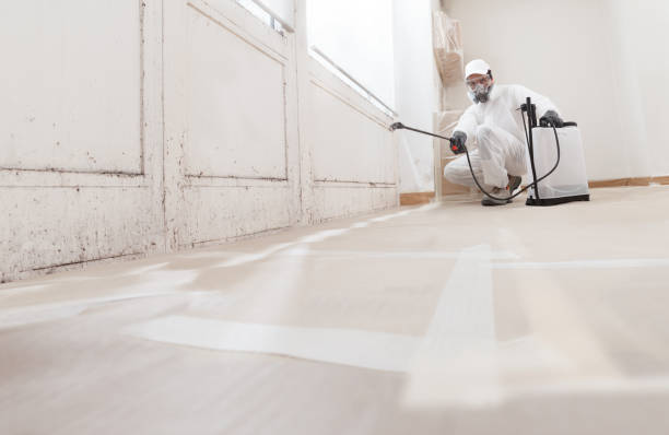 Black mold remediation team in McAlisterville